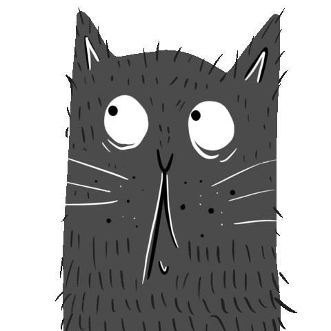 Cat Sticker