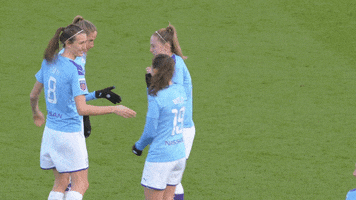 Manchester City Handshake GIF by Barclays FAWSL