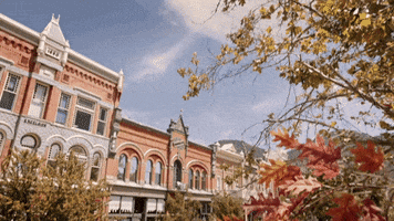 Small Town Fall GIF by Hallmark Channel