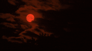 Red GIF