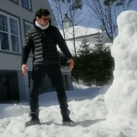 pflmma mma canada snowman martial arts GIF