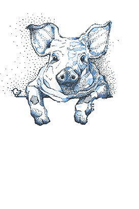 This shop is BANANAS Sticker