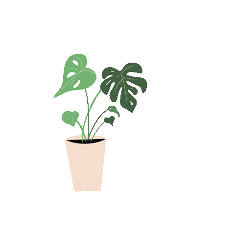 Green Sticker