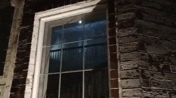 200.gif?cid=fc005b0884691e665271f27a788da5341fe194532e1fd2a8&rid=200.gif&ct=g