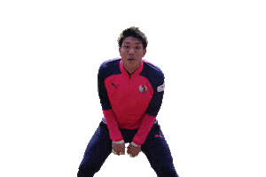 Cerezo Sticker by セレッソ大阪