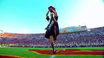 Football Marching GIF by USC Trojans