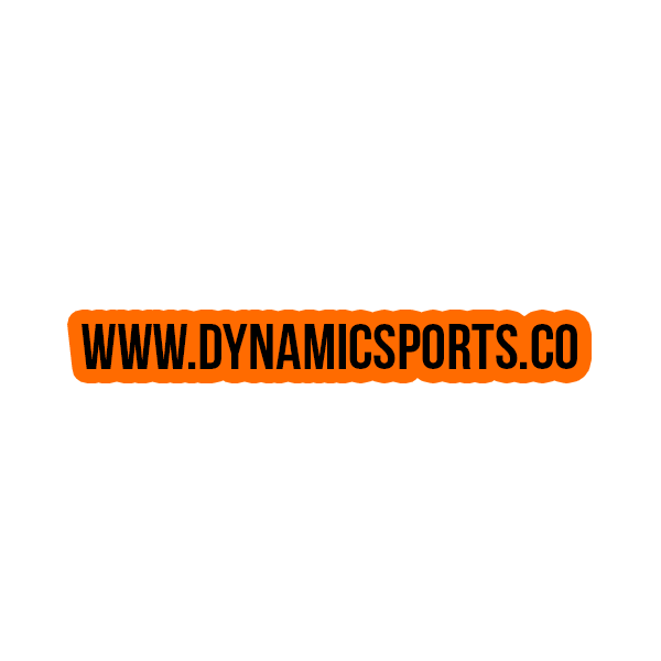 Dynamic Sports Sticker