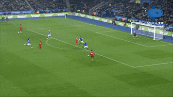 Fans Liverpool GIF by MolaTV
