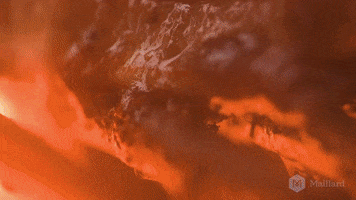 GIF by Maillard.co