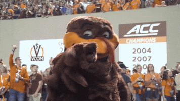 200.gif