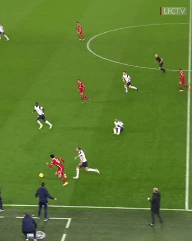 Harry Kane Wow GIF by Liverpool FC