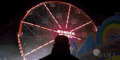 Ferris GIF