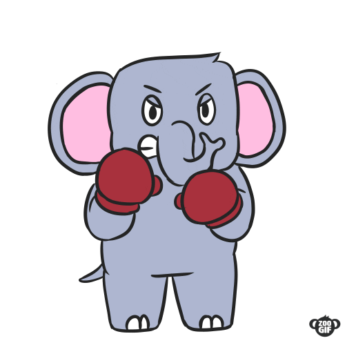 ZooGIF GIF