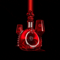 Louis Xiii Party GIF by LOUIS XIII Cognac, unique and exquisite French Cognac by Rémy Martin