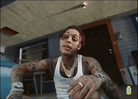 More Money More Ice GIF by Lil Skies