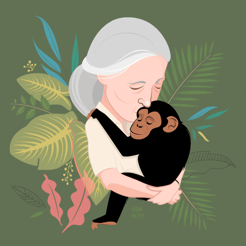 Resultado de imagen para gif naturaleza