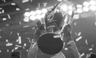 Mls Cup GIF by Major League Soccer