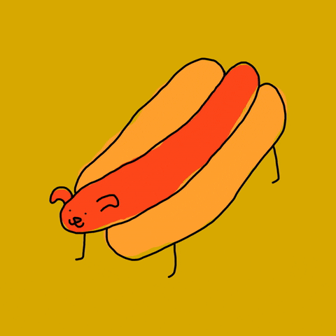 Wiener Dog GIFs - Find & Share on GIPHY