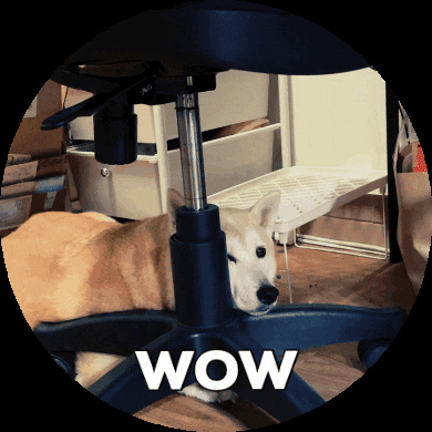 Menwen GIF