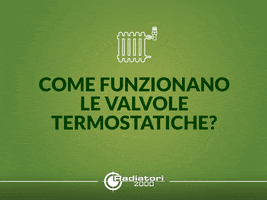 Radiatori 2000 GIF