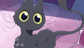 Black Cat Nod GIF
