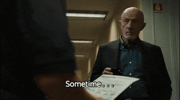 Mike Ehrmantraut Today GIF by Better Call Saul