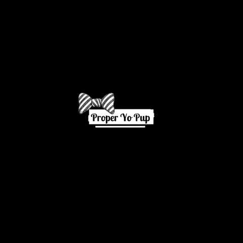 Dogs Puppy GIF by The Proper Pup