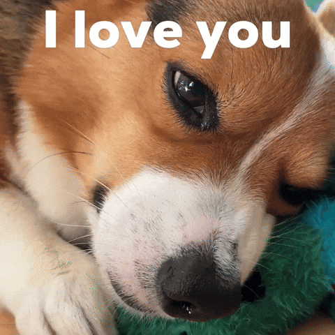 I Love You Dog GIF