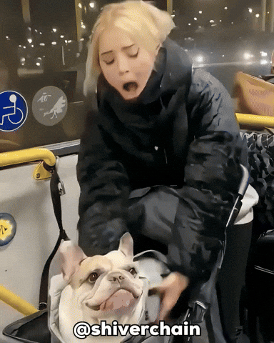 Dog Unsettling GIF