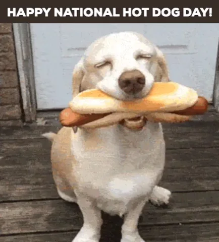 National Hot Dog Day Funny Holiday GIF