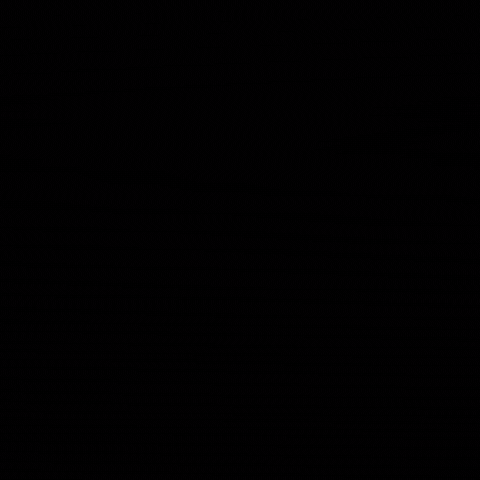 apilli GIF