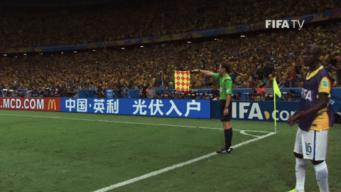 Linesman GIFs - Find &amp; Share on GIPHY