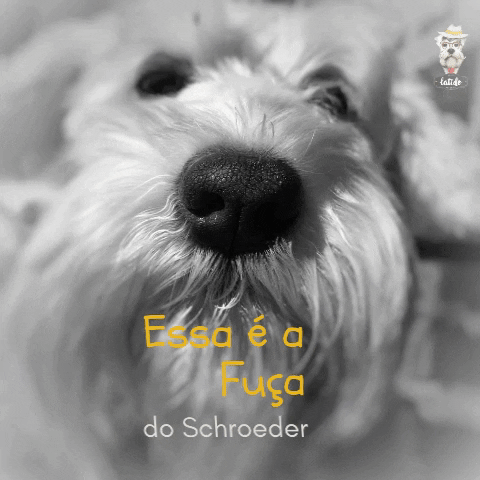 Latido Ale House GIF