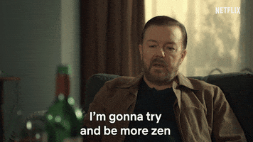 Ricky Gervais Ct GIF by NETFLIX