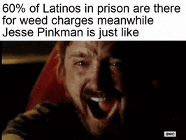 Breaking Bad gif. Aaron Paul as Jesse Pinkman screams and cries as he struggles to maintain control of a car. Text, "Sixty percent of Latinos in prison are there for weed charges meanwhile Jesse Pinkman is just like."