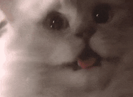 GIF by VCUarts Kinetic Imaging