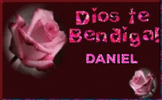 Diostebendigadaniel GIF