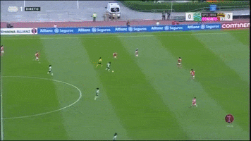 Villa GIF