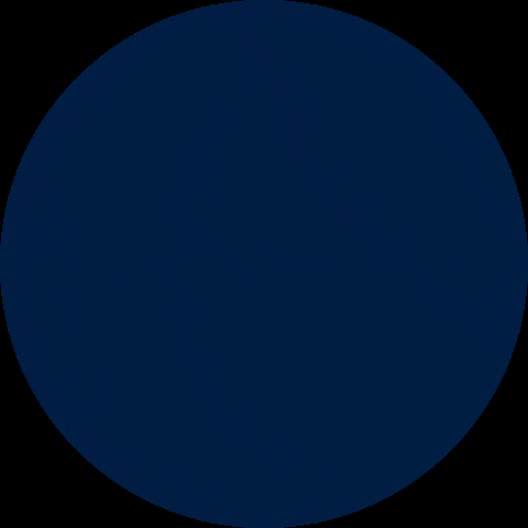 Twin River Berries GIF