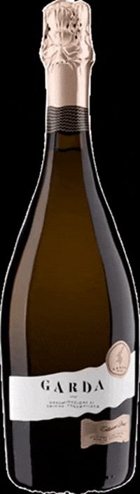 GARDADOC GIF