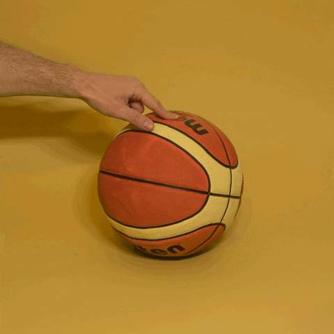 joankamberaj sports game basketball ball GIF