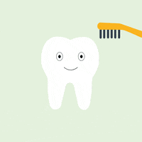 Teeth Dentist GIF by Prof. Jonke