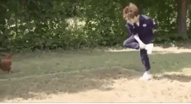 Animated GIF - Find & Share on GIPHY