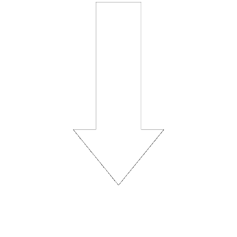 Weiss Pointing Out Sticker by Thomastik-Infeld