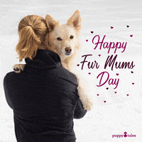 Mothers Day Photography GIF by puppytales