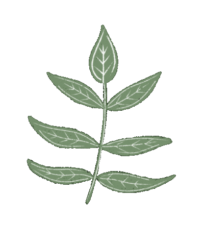 Leaf Boho Sticker