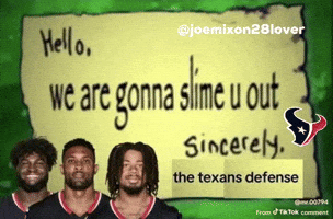Texans GIF