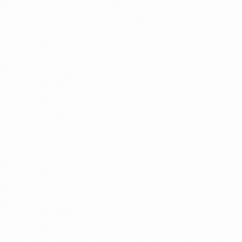 OK-JA Langnau GIF