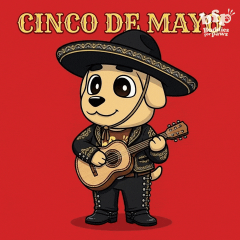 Happy Cinco De Mayo GIF by Buddies for Paws