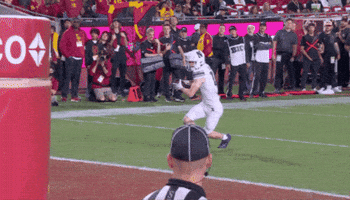 Northwestern Football Cats GIF by Northwestern Athletics